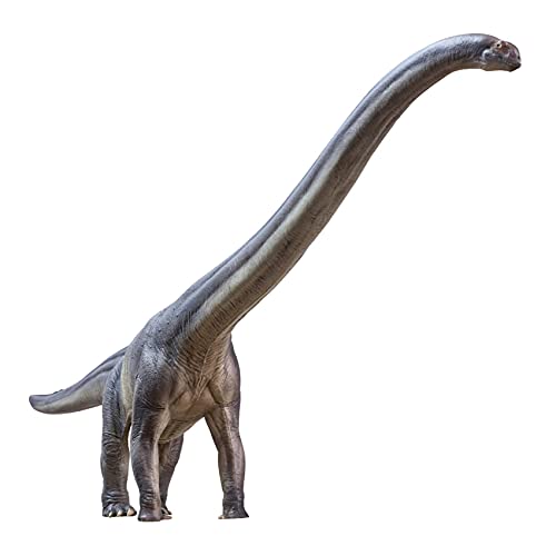 AMITD 1:45 Mamenchisaurus ER-MA Figure Realistic Prehistoric Sauropoda Animal PVC Collector Toys Mamenchisauridae Dinosaur Art Model Decoration Gift for Adult AMITD 1:45 Mamenchisaurus ER-MA Figure Realistic Prehistoric Sauropoda Animal PVC Collector Toys Mamenchisauridae Dinosaur Art Model Decoration Gift for Adult von AMITD