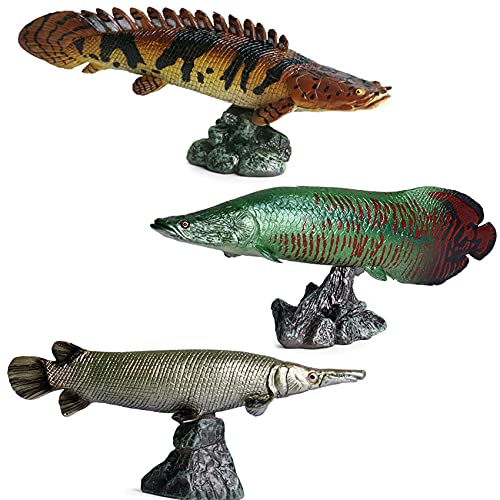 AMITD 3Pcs Realistic Wild Fish Animal Figure Polypterus delhezi Arapaima gigas Pirarucu Alligator Gar Atractosteus Spatula Simulation Educational Model Toy Decoration Gift AMITD 3Pcs Realistic Wild Fish Animal Figure Polypterus delhezi Arapaima gigas Pirarucu Alligator Gar Atractosteus Spatula Simulation Educational Model Toy Decoration Gift von AMITD