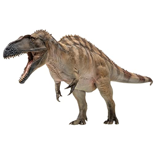 AMITD 61 Fergus Acrocanthosaurus Figure Carcharodontosauridae Dinosaur Scientific Art Model Realistic Prehistoric Animal PVC Collector Toys Decoration Gift for Adult AMITD 61 Fergus Acrocanthosaurus Figure Carcharodontosauridae Dinosaur Scientific Art Model Realistic Prehistoric Animal PVC Collector Toys Decoration Gift for Adult von AMITD