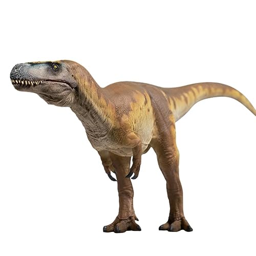 AMITD 74 Megalosaurus Edward Teratosaurus Figure Prehistoric Animal Dinosaur Model AMITD 74 Megalosaurus Edward Teratosaurus Figure Prehistoric Animal Dinosaur Model von AMITD