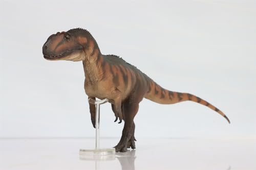 AMITD 76 Yangchuanosaurus Magnus Dapeng Model Allosauroidea PVC Animal Figure Dinosaur Decor Gift AMITD 76 Yangchuanosaurus Magnus Dapeng Model Allosauroidea PVC Animal Figure Dinosaur Decor Gift von AMITD
