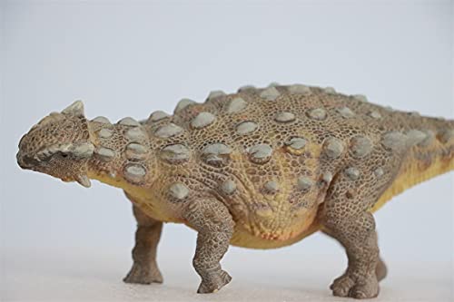 AMITD 9.4in Ankylosaurus Ankylosaur Jurassic Dinosaur PVC Realistic Animal Models Educational Painted Figure Figurine Toys Dino Collector Decor Gift Birthday Party for Adult AMITD 9.4in Ankylosaurus Ankylosaur Jurassic Dinosaur PVC Realistic Animal Models Educational Painted Figure Figurine Toys Dino Collector Decor Gift Birthday Party for Adult von AMITD