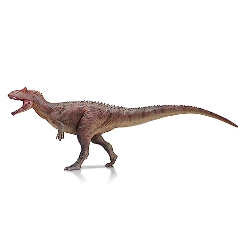 AMITD Allosaurus (SuoChao) von AMITD