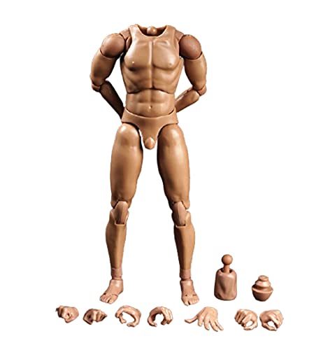 AMITD BD001 1/6 Scale Male Narrow Shoulders Body for Men collectable Action Figure AMITD BD001 1/6 Scale Male Narrow Shoulders Body for Men collectable Action Figure von AMITD