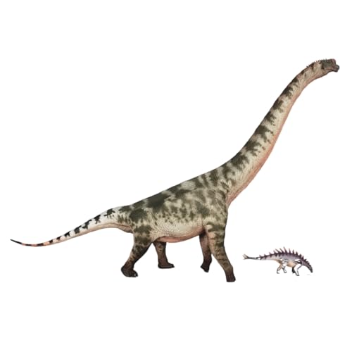 AMITD Brachiosaurus Prehistoric Animal Dinosaur Model with Huayang Dragon Doll (Color B) von AMITD