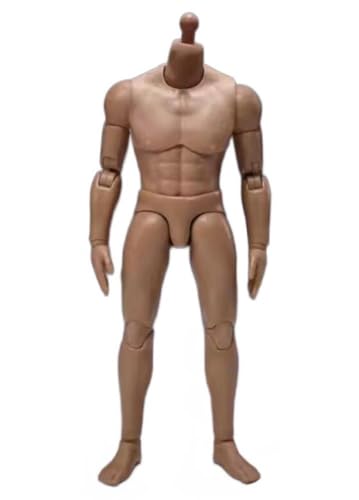 AMITD CH Studio 1/12 Scale Male doll Body for 6 inch Man Action Figure CH001A von AMITD