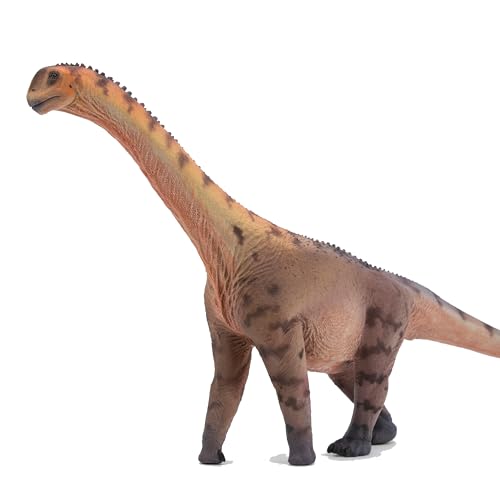 AMITD Camarasaurus 1：35 Science and Art Model (Han Tao) von AMITD