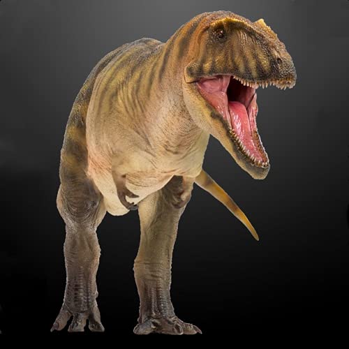 AMITD Carcharodontosaurus Gamba Figure Realistic Carcharodontosauridae Dinosaur PVC Collector Toys Animal Art Model Decoration Gift for Adult AMITD Carcharodontosaurus Gamba Figure Realistic Carcharodontosauridae Dinosaur PVC Collector Toys Animal Art Model Decoration Gift for Adult von AMITD
