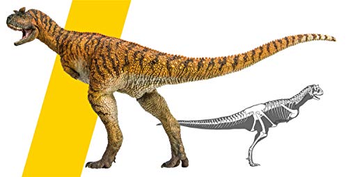 AMITD Carnotaurus Domingo Figure Realistic Ceratosauria Abelisauridae Dinosaur PVC Collector Toys Animal Art Model Decoration Gift for Adult von AMITD