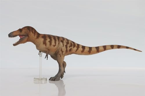 AMITD Daspletosaurus Cole 73 Model Prehistoric Animal Figure Dinosaur Collector AMITD Daspletosaurus Cole 73 Model Prehistoric Animal Figure Dinosaur Collector von AMITD