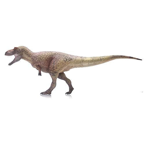 AMITD Daspletosaurus Torosus (Lu Zhi Sheng) von AMITD