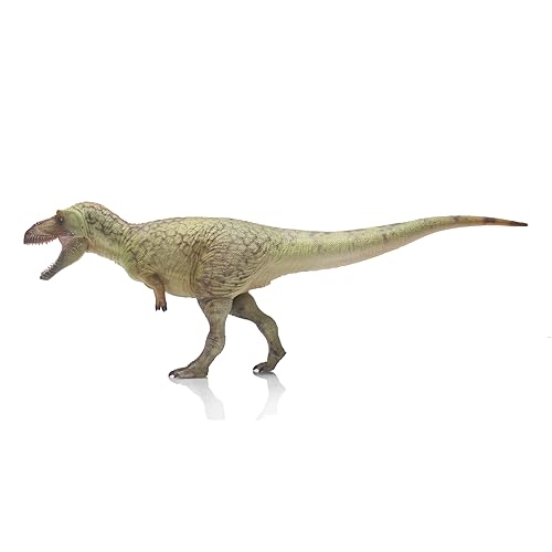 AMITD Daspletosaurus Torosus (wu Song) von AMITD
