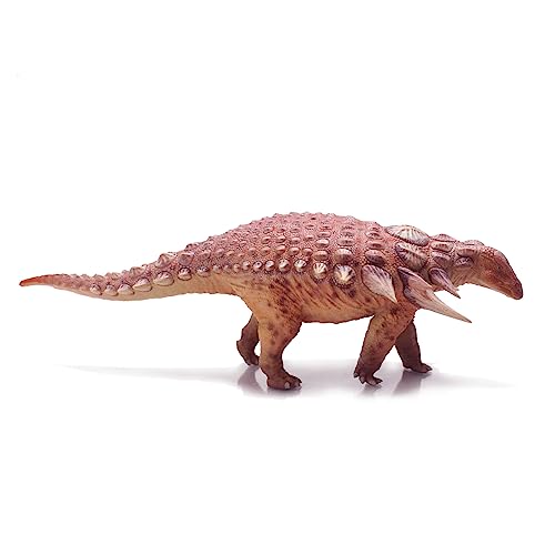 AMITD Edmontonia (Jiebao) von AMITD