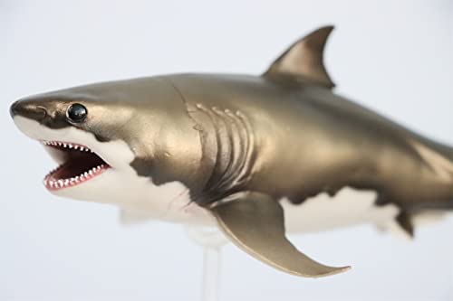 AMITD Figure Realistic Prehistoric Mackerel Shark Animal PVC Dinosaur Art Model Decoration AMITD Figure Realistic Prehistoric Mackerel Shark Animal PVC Dinosaur Art Model Decoration von AMITD