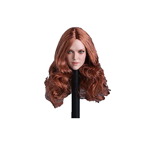 AMITD GC009A 1/6 Scale Figure Accessories European Beauty Brown Head Sculpture for 12 Inch Female Body von AMITD