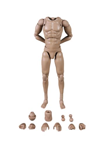 AMITD MB002 1/6 Scale Tall Male Seamless Super Flexible Figure Body 10.2 Inch Man Action Figure Without Head Sculpture AMITD MB002 1/6 Scale Tall Male Seamless Super Flexible Figure Body 10.2 Inch Man Action Figure Without Head Sculpture von AMITD