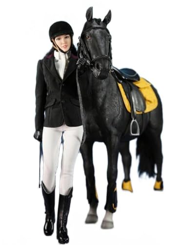 AMITD MR.Z MULTIFUN 1/6 Scale Women's Equestrian Clothing Set with Racehorse Model for 12 inch Female Action Figure MF004A AMITD MR.Z MULTIFUN 1/6 Scale Women's Equestrian Clothing Set with Racehorse Model for 12 inch Female Action Figure MF004A von AMITD