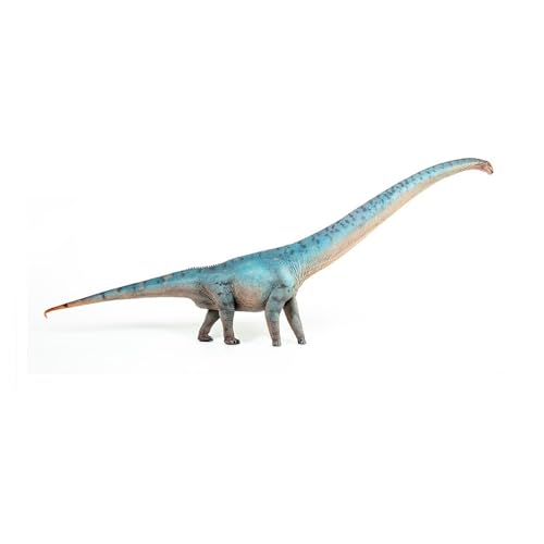 AMITD Mamenchisaurus Dinosaur Model, Scale 1:35, Prehistoric doll (Blue) von AMITD