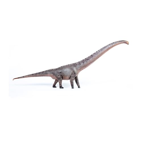 AMITD Mamenchisaurus Dinosaur Model, Scale 1:35, Prehistoric doll (Brown) von AMITD