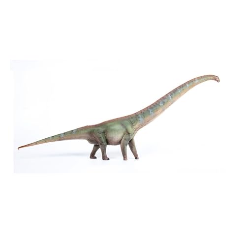 AMITD Mamenchisaurus Dinosaur Model, Scale 1:35, Prehistoric doll (Green) von AMITD