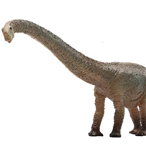 AMITD Mamenchisaurus Dinosaur PVC Realistic Animal Models Collector Decor Gift AMITD Mamenchisaurus Dinosaur PVC Realistic Animal Models Collector Decor Gift von AMITD