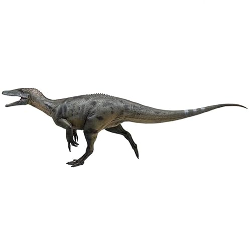 AMITD Megaraptor 1:35 Scientific Restoration Dinosaur Model AMITD Megaraptor 1:35 Scientific Restoration Dinosaur Model von AMITD