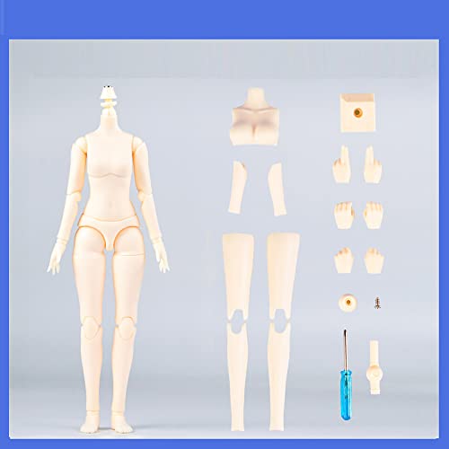 AMITD Mini 1/6 Scale YMY Doll Body 8.6 inches/9.4 inches Female Body YMY22/YMY24 PVC+POM Bust Two Size Whity Skin Color (YMY22,Super White) von AMITD