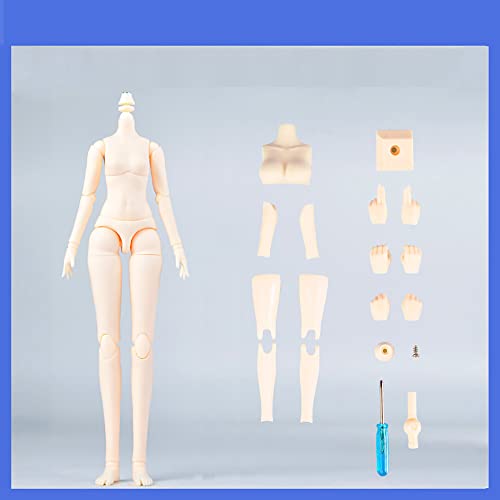 AMITD Mini 1/6 Scale YMY Doll Body 8.6 inches/9.4 inches Female Body YMY22/YMY24 PVC+POM Bust Two Size Whity Skin Color (YMY24,Super White) von AMITD