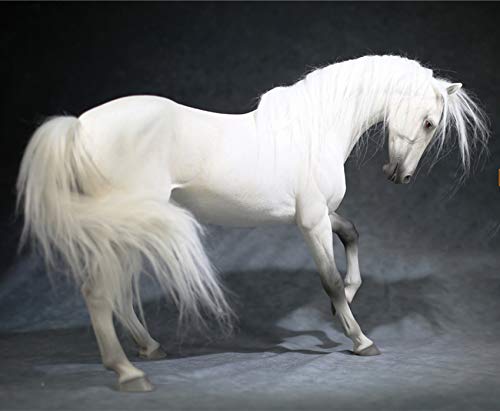 AMITD Mr.Z Animal Model 1/6 Akhal-Teke Horse Statue Realistic Educational Ahalteke Equidae Animal Model Resin Toys Collector Home Decoration Birthday Gift for Adult (Mr.Z048-2) von AMITD