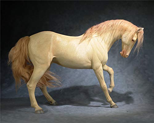 AMITD Mr.Z Animal Model 1/6 Akhal-Teke Horse Statue Realistic Educational Ahalteke Equidae Animal Model Resin Toys Collector Home Decoration Birthday Gift for Adult (Mr.Z048-4) von AMITD