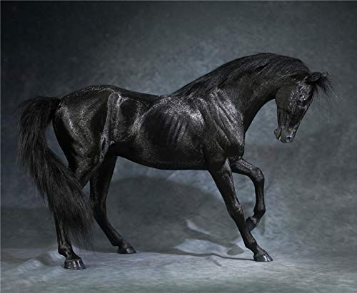 AMITD Mr.Z Animal Model 1/6 Akhal-Teke Horse Statue Realistic Educational Ahalteke Equidae Animal Model Resin Toys Collector Home Decoration Birthday Gift for Adult (Mr.Z048-5) von AMITD