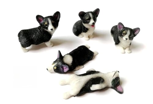 AMITD Mr.Z Studio Mini Dog Welsh Corgi Figure Collection Realistic Resin Cute Puppy Model Wonderful Decoration Gift for Adult (Black and White) von AMITD