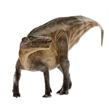 AMITD Shantungosaurus Dinosaur Model Animal Figure Collector Decor Gift von AMITD