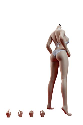 AMITD TBLeague PHICEN PLLB2020-S42A 1/6 Scale Female Super-Flexible Seamless Pale Body for 12 inch Action Figure Attached feet Without Head Sculpt AMITD TBLeague PHICEN PLLB2020-S42A 1/6 Scale Female Super-Flexible Seamless Pale Body for 12 inch Action Figure Attached feet Without Head Sculpt von AMITD