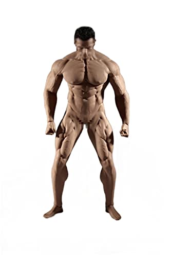 AMITD TBLeague PL2018-M35 1/6 Scale Super-Flexible Male Seamless Body 12 Inch Muscle Men Action Figure Without Head Sculpture von AMITD