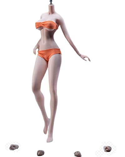 AMITD TBLeague Phicen PLLB2021-S40A 1/6 Scale Phicen Female Seamless Pale Body for 12 inch Action Figure Attached feet Without Head Sculpt,Multicolored,SJYT-001 AMITD TBLeague Phicen PLLB2021-S40A 1/6 Scale Phicen Female Seamless Pale Body for 12 inch Action Figure Attached feet Without Head Sculpt,Multicolored,SJYT-001 von AMITD