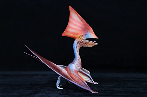 AMITD Tapejara Figure Pterosauria Scientific Art Model Pterodactyl Dinosaur Realistic Animal Decoration AMITD Tapejara Figure Pterosauria Scientific Art Model Pterodactyl Dinosaur Realistic Animal Decoration von AMITD