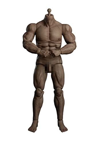 AMITD Tbleague Worldbox AT030 1/6 Scale Male Strong Durable Body for 12 inch Collectible Action Figure, Multicolored, Medium (SJYT-001) von AMITD
