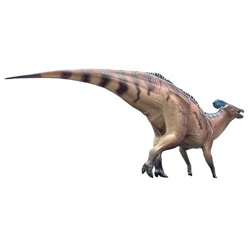 AMITD Tlatolophus Galorum (Huang Fu Duan) 1:35 Dinosaur Model for Adults, Educational, Dinosaur Lovers von AMITD