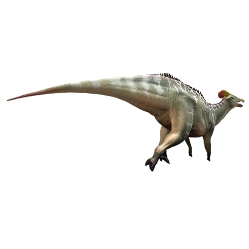 AMITD Tlatolophus Galorum (an Dao Quan) von AMITD
