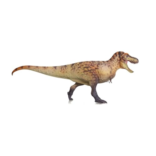 AMITD Tyrannosaurus Rex Dinosaur Model with Movable Jaw, Prehistoric Animal Figure (Color A) von AMITD