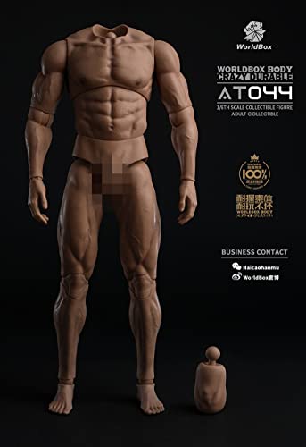 AMITD Worldbox 1/6 Maßstab Male Körper Action Figure, 12inch Male Soldier Flexible Strong Neckless Big Muscle Körper Collection (AT044)… von AMITD