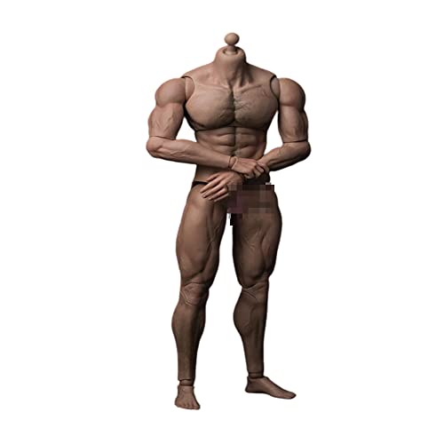 AMITD Worldbox 1/6 Scale Action Figure Male Muscular Body Toys Durable Bady-Ripped Doll for Most Head Sculpt (AT027), SJYT-001, Medium, Multicolored von AMITD