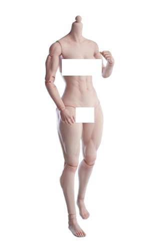 AMITD Worldbox 1/6 Scale Female Doll Muscle Body for 12 inch Woman Action Figure AT206B Pale Skin von AMITD