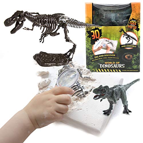 AMLI Spielzeug Ausgrabungsset Dinosaurier Skelett - Dino Archäologie Spiel Set für Kinder | Realistisches 3D Skelett inkl. Dino Figur | Dinoknochen zum ausgraben und zusammenbauen als Deko (Mix) von AMLI
