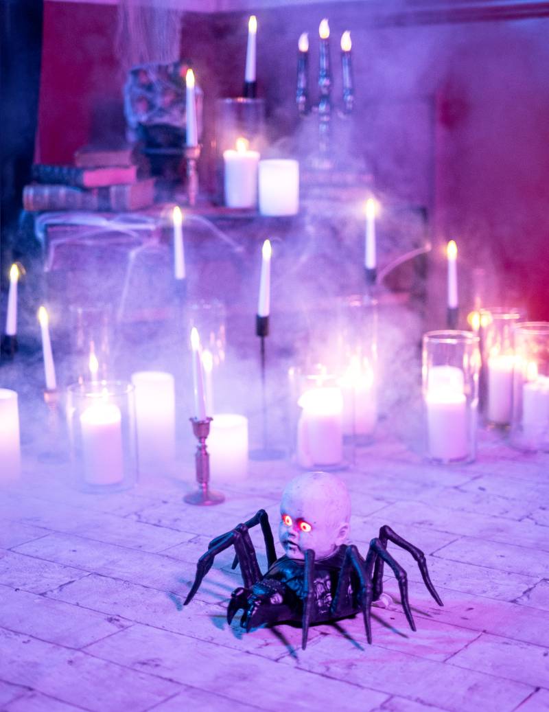 Animierte Puppenspinne von RIETHMULLER