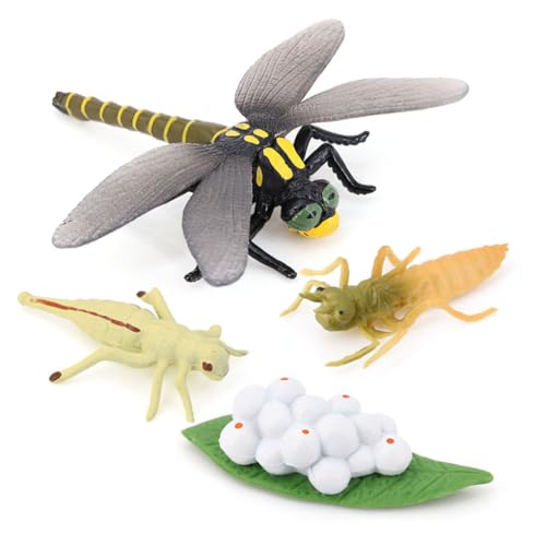 AMSLSIU 1 Set Life Cycle Models Lifecycle Model Educational Display Prop Simulation Animals Playthings Tierspielzeug für Kinder, Libelle von AMSLSIU
