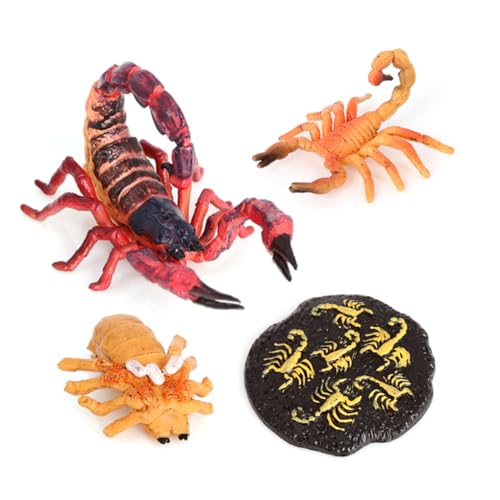 AMSLSIU 1 Set Life Cycle Toy Haushalt Einzigartige Exquisite Interessante Tieranzeige Requisite Skorpionmodelle für die Schule zu Hause, Schwarz Rot von AMSLSIU