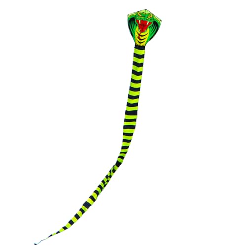 AMSLSIU Fiberglas Drachen Interaktive Tierform Langschwanz Drachen Outdoor Aktivität Vorgarten Spielzeug Spielzeug, 15m AMSLSIU Fiberglas Drachen Interaktive Tierform Langschwanz Drachen Outdoor Aktivität Vorgarten Spielzeug Spielzeug, 15m von AMSLSIU
