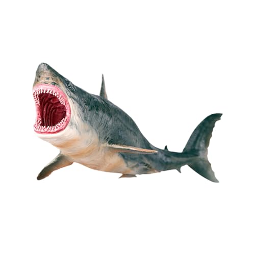 AMSLSIU Meereslebensechte Kindermodelle Simulation Hai Spielzeug Hai Meeresmodelle Simulationsspielzeug Realistisches Hai Modell Kinderspielzeug , Megalodon AMSLSIU Meereslebensechte Kindermodelle Simulation Hai Spielzeug Hai Meeresmodelle Simulationsspielzeug Realistisches Hai Modell Kinderspielzeug , Megalodon von AMSLSIU